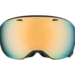 Alpina - Big Horn Q Mirror S2 (VLT 24%) - Masque de ski